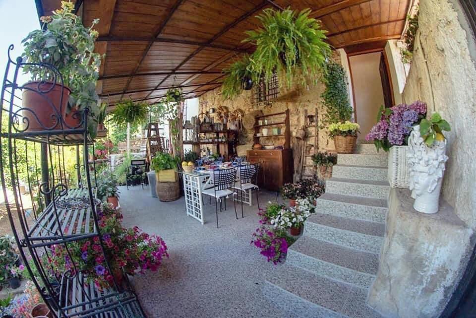 I Leoni Di Sicilia Ferienhaus