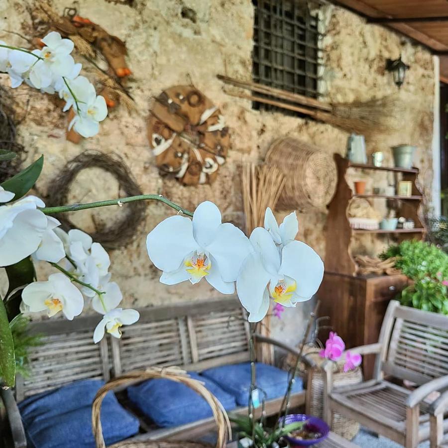 Ferienhaus I Leoni Di Sicilia *